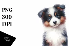 A Cute Watercolor Border Collie, White Background Product Image 1