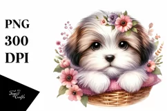 Baby Havanese Watercolor Clipart | Sublimation Product Image 3