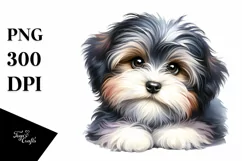 Baby Havanese Watercolor Clipart | Sublimation Product Image 1