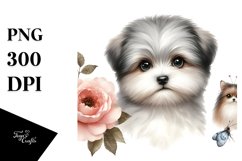 Baby Havanese Watercolor Clipart | Sublimation Product Image 3