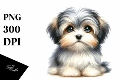 Baby Havanese Watercolor Clipart | Sublimation Product Image 3