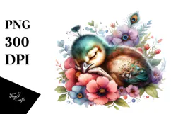 Baby Peacock Watercolor PNG Product Image 1