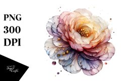 Ranunculus Watercolor Abstract Clipart Product Image 3