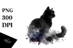 Washy Black Cat, Transparent PNG Product Image 1