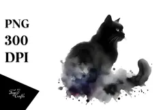 Washy Black Cat, Transparent PNG Product Image 1