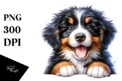 Happy Baby Bernese Mountain Dog, PNG Product Image 1