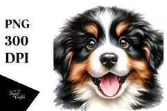 Happy Baby Bernese Mountain Dog, PNG Product Image 1