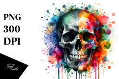 Grunge Skull and Flower Painting PNG Product Image 1