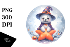 Cute Seal Standing on Star PNG Product Image 1