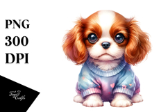 Expressive Cavalier King Charles Spaniel PNG Product Image 1
