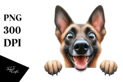 Crazy Malinois Peeking | Sublimation | Clipart Product Image 3