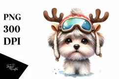Baby Havanese with Winter Vibes, High-res PNG Product Image 3