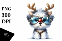 Baby Havanese with Stylish Look, Transparent PNG Product Image 1