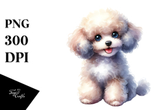 Baby Poodle Watercolor PNG Product Image 1