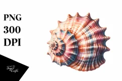 Sea Shell Margarita Flowers USA Flag | Sublimation Clipart Product Image 1
