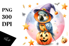 Cute Macaw Standing on Star PNG Product Image 1