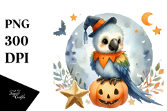 Cute Macaw Standing on Star PNG Product Image 1