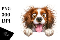 Crazy Looking Furry Brittany | Clipart Product Image 3