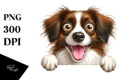 Crazy Looking Furry Brittany | Clipart Product Image 3