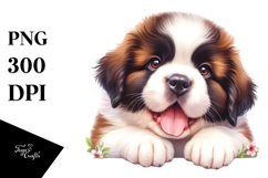 Cute Baby Saint Bernard, Transparent PNG Product Image 1