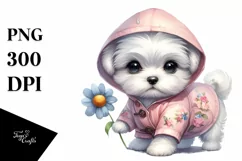 Baby Maltese Raincoat Watercolor Clipart Product Image 1
