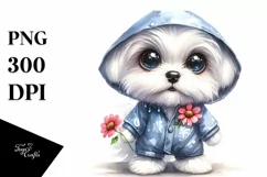Baby Maltese Raincoat Watercolor Clipart Product Image 3