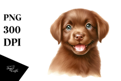 Happy Chesapeake Bay Retriever Baby PNG Product Image 1