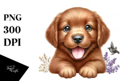 Happy Chesapeake Bay Retriever Baby PNG Product Image 1
