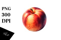 Nectarine Watercolor Sublimation Clipart Product Image 3
