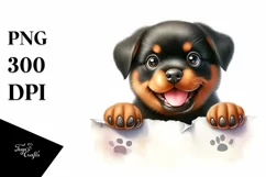Funny Rottweiler Watercolor Splash | Clipart Product Image 1