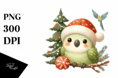 Cute Baby Parrot Winter PNG Product Image 1