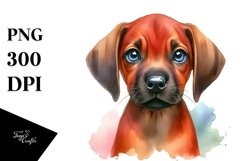 Sublimation|Clipart Product Image 3