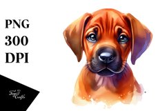 Sublimation|Clipart Product Image 1