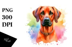 Sublimation|Clipart Product Image 3