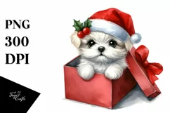 Baby Maltese from Gift Box, Transparent PNG Product Image 3