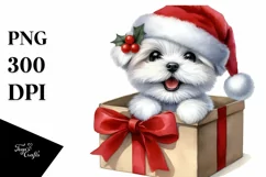 Baby Maltese Gift Box Surprise, High-res PNG Product Image 1