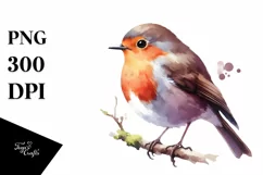Simple Robin Watercolor Clipart | Sublimation | Clipart Product Image 3