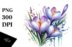 Metallic Crocus Watercolor PNG Product Image 1