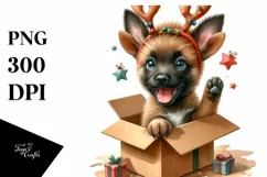 Baby Malinois from Gift Box, High-res PNG Product Image 1