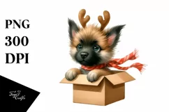 Baby Malinois Gift Box Surprise, Transparent PNG Product Image 1