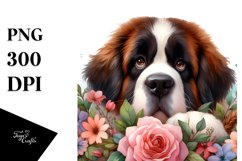 Funny Saint Bernard Watercolor Clipart Product Image 3