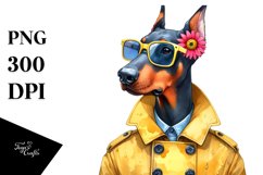Confused Doberman Pinscher Caricature-Like with Raincoat Product Image 3