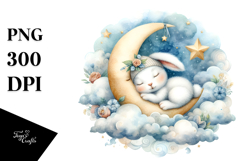 Adorned Baby Rabbit in Dream PNG Product Image 1
