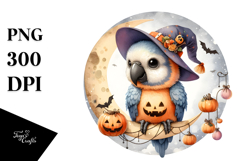 Cute Macaw Standing on Moon PNG Product Image 1