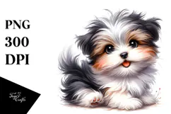 Baby Havanese with Big Eyes PNG Product Image 1
