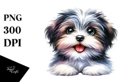 Baby Havanese with Big Eyes PNG Product Image 1