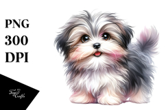 Watercolor Baby Havanese with Big Eyes, Transparent PNG Product Image 1