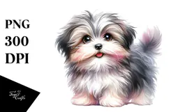 Watercolor Baby Havanese with Big Eyes, Transparent PNG Product Image 1