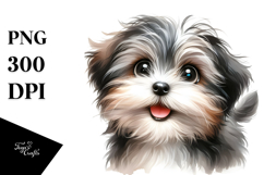 Baby Havanese with Big Eyes PNG Product Image 1