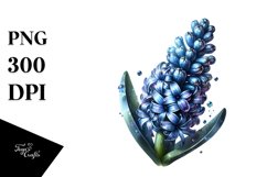Shiny Watercolor Hyacinth | Sublimation | Clipart Product Image 1